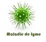 Lyme et magnétisme