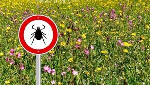 Maladie de Lyme Maladie de Lyme et magnétisme