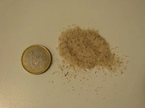 psyllium-detail psyllium-detail