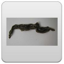 limpieza-de-los-intestinos-foto-10 limpieza de los intestinos foto 10