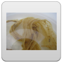 limpieza-de-los-intestinos-foto-5 limpieza de los intestinos foto 5